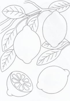 Download Educational Coloring Pages Fruits 2 Download Pdf Free